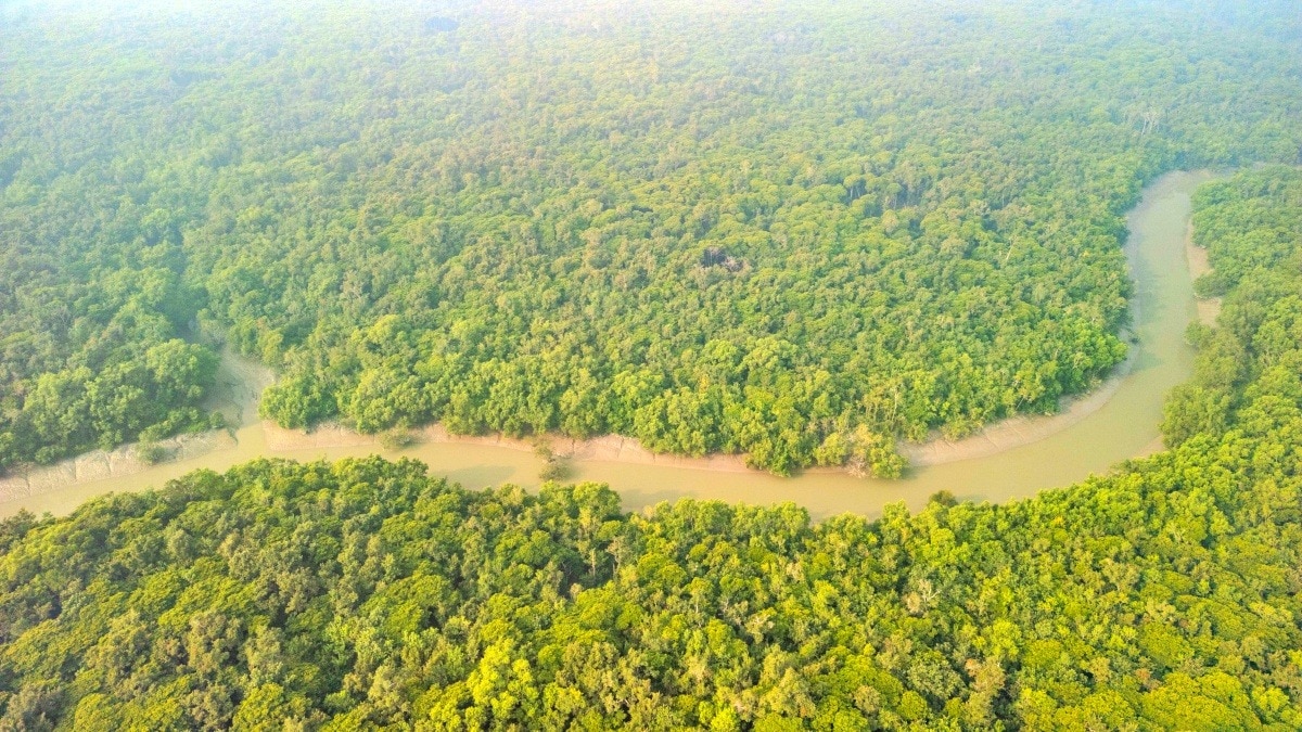 Over Half of India’s Major River Deltas Are Sinking Due to Excessive Groundwater Extraction